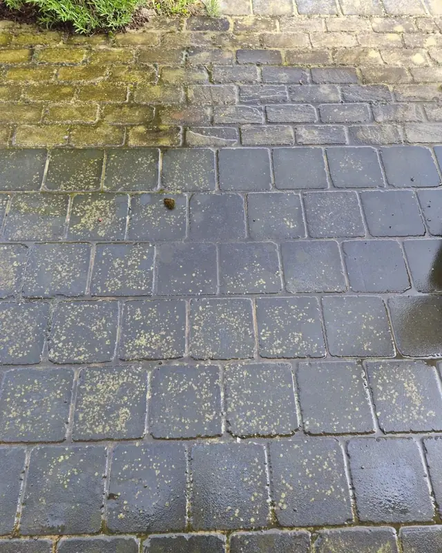 Grijze betonklinkers met groene aanslag en vuil