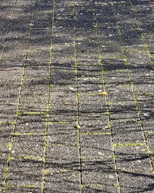 Klinkers met mos en gras tussen de voegen