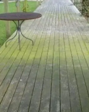 Groen uitgeslagen houten vlonderpad met tafeltje
