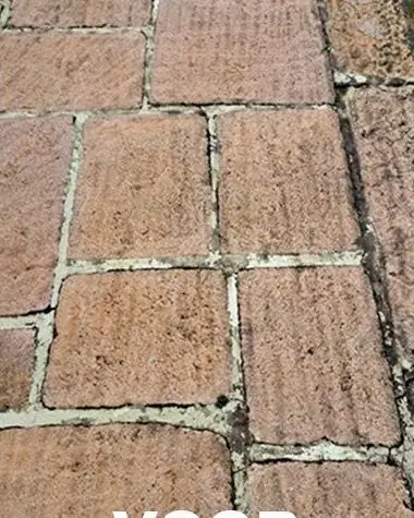 Natuurstenen tegels met mos in de voegen