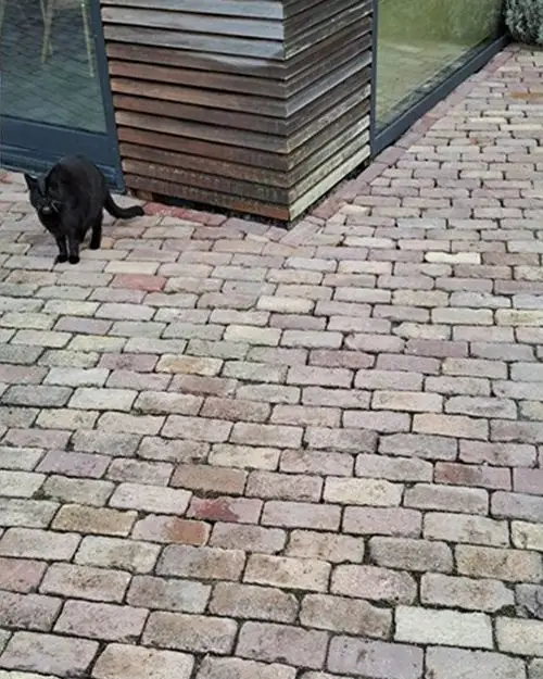 Oude kasseien na de reiniging