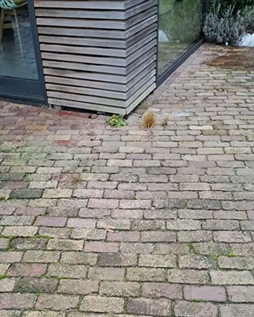 Oude kasseien met groene aanslag