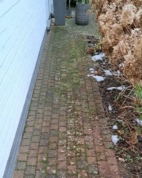 Groen uitgeslagen klinkerpad langs een witte gevel