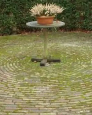 Rond klinkerterras volledig groen uitgeslagen