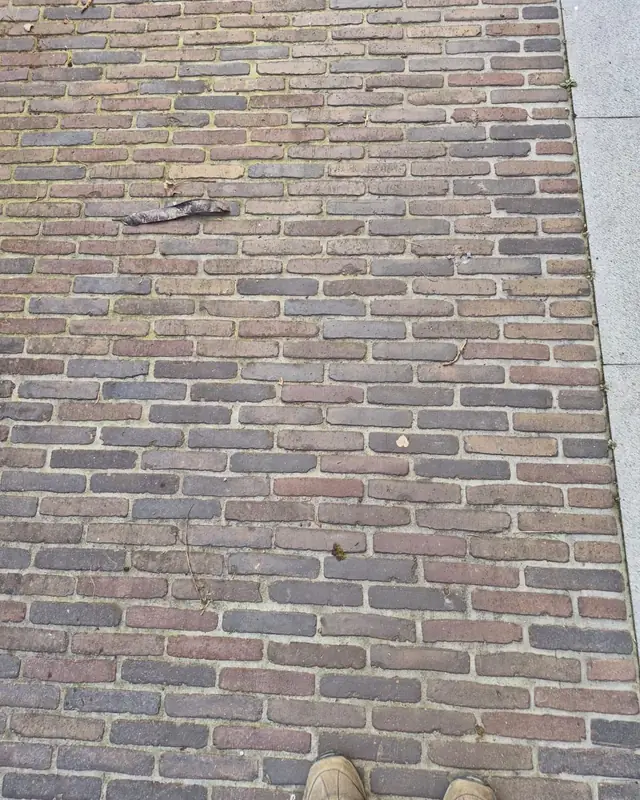 Dof terras in gebakken klinkers met vuile voegen