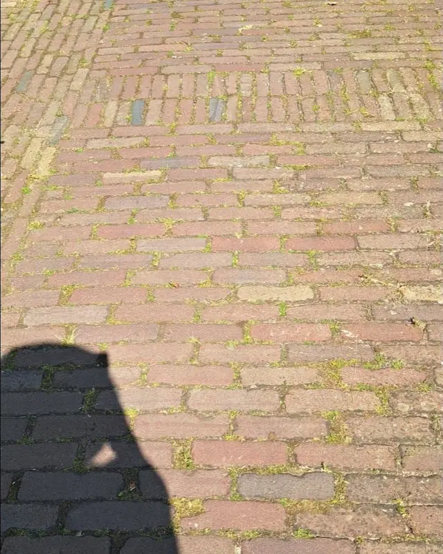 Tuinpad in klinkers met mos en gras tussen de voegen