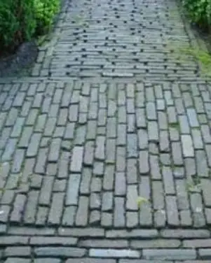 Donker tuinpad in oude klinkers tussen buxus